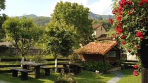 Apartamentos Samelar