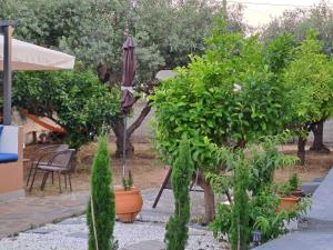 Myrsini s House