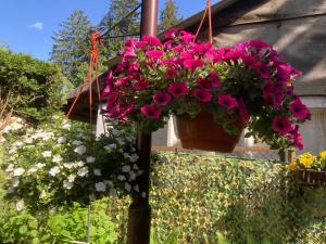 Уютный домик в дзинтари