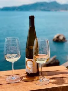 Portofino View - Unique House - Campodonico