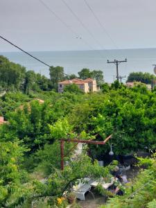 KARAOYLI apartments studios