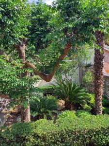 Apartment Ana, free garage parking