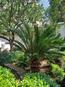 Apartment Ana, free garage parking 