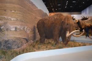 Maisons de vacances Maison & studio 14 pers avec piscine privee securisee : photos des chambres