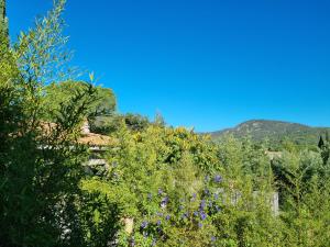 Appartements Mas de la Petite Jeanne : photos des chambres