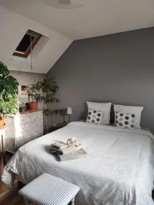 Chambre chez Jan-Nicolas et Sylvie - Rouillon