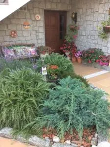 Casa Nanda - Tabagón