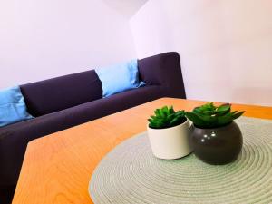 Appartements Les Bleuets-Vue Hortillonnages-Calme-Paisible : photos des chambres