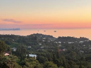 Beautiful Wooden house with seaside views