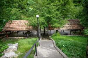 Dzeruli
