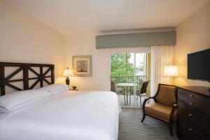 One-Bedroom Smaller Villa with Balcony room in Sheraton Vistana Resort Villas Lake Buena Vista Orlando