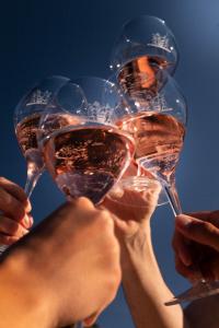 Sella&Mosca Casa Villamarina img90