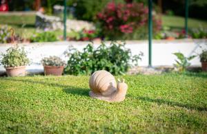 Sea View Apartment Ana