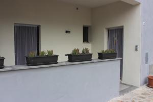 Elsa e Anna Apartments - Comodi e Rilassanti Appartamenti img35