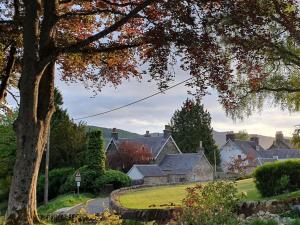 Birchwood Bothy
