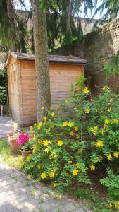 BeatrixHome Oasi verde in città