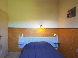Maisons de vacances LES BALCONS DE LA CHIUSA : photos des chambres