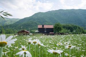 Nina Holiday Home with a heated pool