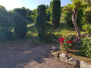 Maisons de vacances LES BALCONS DE LA CHIUSA : photos des chambres