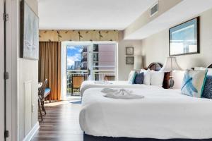 Carolinian Corner Gem Views!