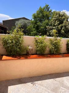 B&B / Chambres d'hotes Les Baroudeurs de Saint Jean : photos des chambres