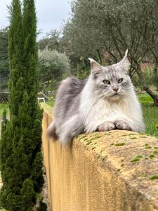 B&B / Chambres d'hotes La Bergerie : photos des chambres