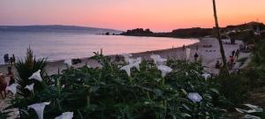 A 2 passi dalla spiaggia img30