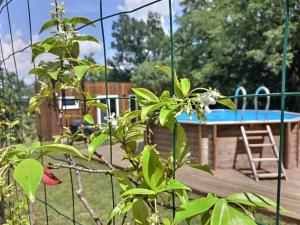 Chalets Les gites de L'Isle Jourdain : photos des chambres