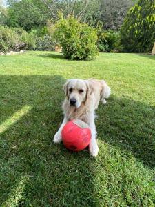 B&B / Chambres d'hotes La Bergerie : photos des chambres