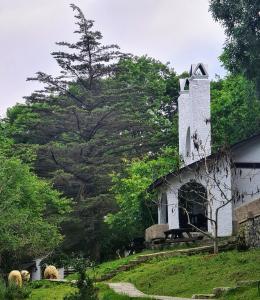 Polonezköy Country Club & Accommodation in the Wildlife Park!