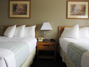 Queen Room with Two Queen Beds room in White Buffalo Hotel