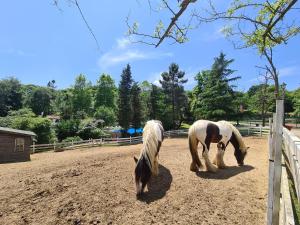 Polonezköy Country Club & Accommodation in the Wildlife Park!