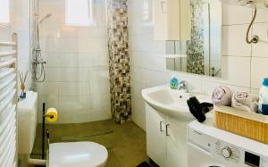 Ferienwohnung - 3 Zimmer, Petrovic