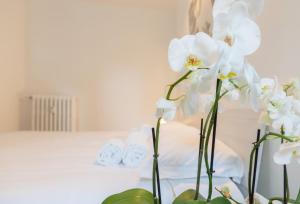 [Fondazione Prada] - Exclusive Loft of Cinema ☆☆☆☆☆