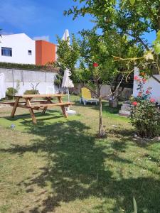 Apartamentos Guiomar Campos