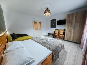 Casa Zina - inchiriere integrala