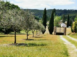 Tentes de luxe La Bastide du Capelier - Cabane : photos des chambres