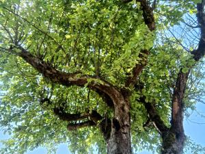 Léchappée Comtoise 2 étoiles