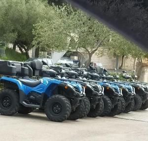 House Mare e Supramonte img32