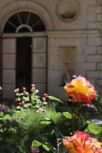 Maisons d'hotes Les Deux Marguerite : photos des chambres