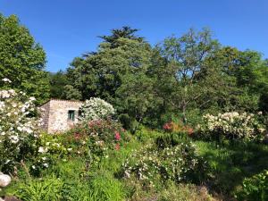 Maisons de vacances Gite du grand cedre : photos des chambres