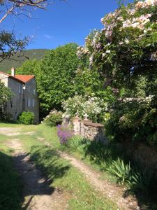 Maisons de vacances Gite du grand cedre : photos des chambres