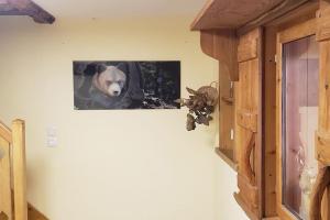 Maisons de vacances La Lotiere : photos des chambres