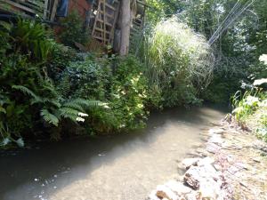 Appartements Tiny Studio Ariege Pyrenees : photos des chambres