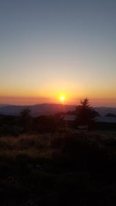 B&B DA SILVESTRO img27