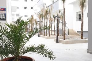 Appartement au centre de la ville de Meknès - 2hvězdičkové hotely ve městě Meknes