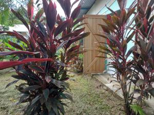 Lodging Adventure La Gamba