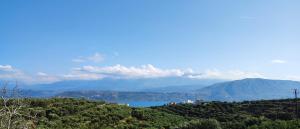Village house with a nice garden