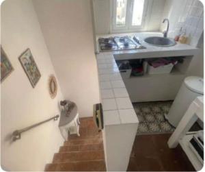 La Rosa di piazza Spagna