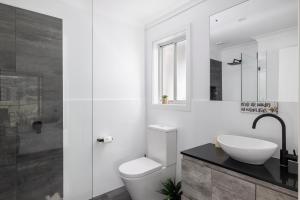 Dolphin Studio Suite